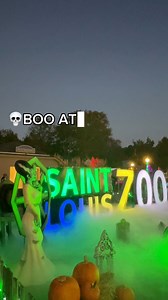 The time to visit the St. Louis Zoo is now! Get your spooky on 5-8:30pm every night until Oct. 30th. Enjoy: Festive decorations Specialty food and drinks Spot entertainment You can get more details and tickets here: https://explstl.us/404sSwF. #explorestlouis | Explore St. Louis