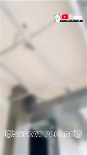 Ravinder Rajput | #my work 🫶🏻🥹 Please Support me 🫶🏻🫂😘 My YouTube channel 🫶🏻@RRG..PVC.panell_22🥹 | Instagram