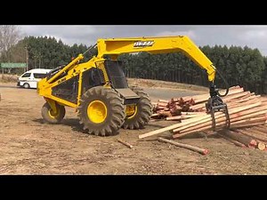 Dezzi DL36B 3-Wheel Logger sorting 2.4m lengths on zone