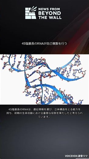 45塩基長のRNAが自己複製を行う #Shorts