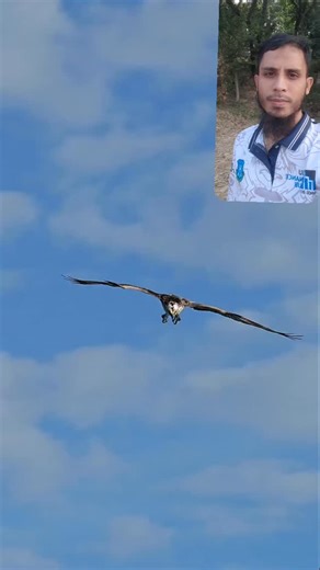 Polash Hossen Xitu on Instagram