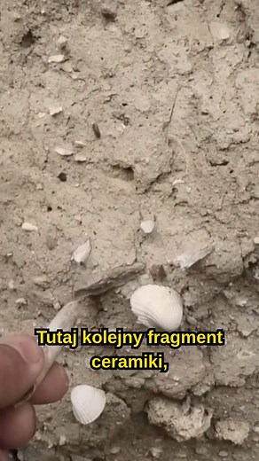 103K views · 1K reactions | Osad na murach w Troi#history #architecture #documentary #science #knowledge #travel #shorts | DrFranc | Facebook