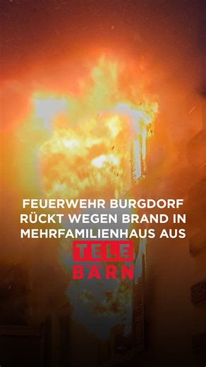 TeleBärn on Instagram: "Feuerwehr Burgdorf rückt wegen Brand in Mehrfamilienhaus aus⁣ ⁣ Link zur ganzen Newssendung in der Bio 👆 ⁣ ⁣ In Burgdorf ist am Montagabend ein Brand in einem Mehrfamilienhaus an der Steinhofstrasse ausgebrochen. Die Einsatzkräfte konnten das Feuer rasch unter Kontrolle bringen und löschen. Alle Wohnungen waren nach dem Brand unbewohnbar, für die Betroffenen wurden alternative Unterkünfte organisiert.⁣ ⁣ #telebärn #news #aktuell #brand #bern #kantonbern #burgdorf #mehrf
