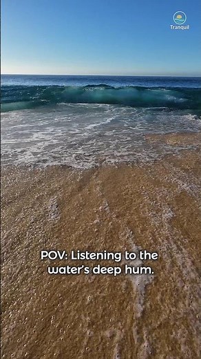 POV: Listening to the Ocean’s Deep Hum | The Only White Noise You Need