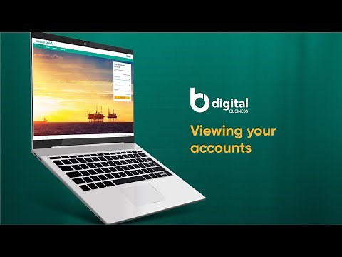 Baiduri b.Digital Business video tutorial | Viewing your accounts