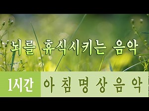 행운을 끌어오는 신비한 명상음악 🌲하루10분 만병을 치료 해주는 힐링 명상 기치료 음악 및 영상 - 아침음악, 힐링음악, 명상음악, 스트레스해소음악