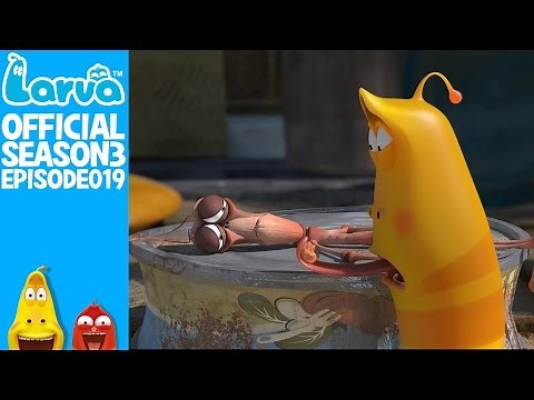 [Official] Stick insect - Larva Season 3 Episode 19