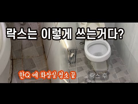 가장 쉽게 화장실 청소하는 방법 (feat. 유한락스 청소)
