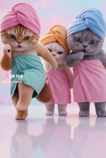 3 Bathing Cats Viral TikTok Dance 😹🚿 Love It! Bath time turned into a hilarious TikTok dance moment. These three cats started moving to the beat and it’s impossible not to laugh. Which cat is your favorite? 🤣 Comment below 👇 Follow PETA HOUSE for more funny animal videos. #catsoftiktok #funnycats #catdance #viralcat #petahouse