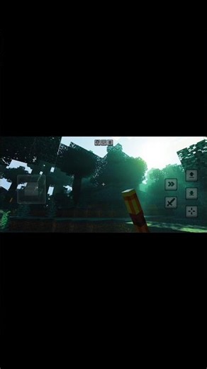 Minecraft vibrant