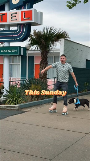 5K views | Up to 50% off + $350 in free gifts. First 100 get the unreleased toy free. Saturday 5pm EST sharp — get your cart ready. | Happy Staffy Co. | Facebook