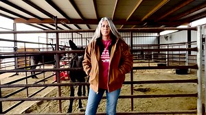 Peaceful Valley Donkey Rescue on Reels