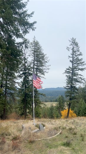 Scotty Walker on Reels