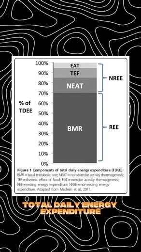 ADDITIONAL INFORMATION: Yes pwede ka mag build ng muscle sa Caldef sa Maintenance at sa clean Bulk. Na content ko na yan noon. May mga tao talaga na gusto padin gawin yung old ways ng clean Bulk. wag lang Dirty Bulk. MyFitnessPal Gamitin niyo para malaman nyo yung maintenance calories nyo. make sure na walang med. condition bago mag start ng Lean Bulking journey. Pa check up muna. | Klauz Fitness