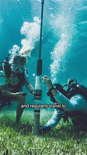 UTampa Biology: Hands-On Experience & Research