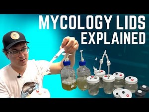 Mycology Lids Explained: Full breakdown of liquid culture lids and back engineering media extractor