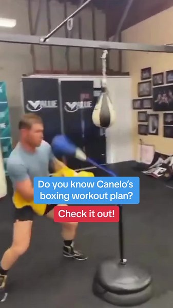 Canelo's Boxing Workout Plan Revealed
