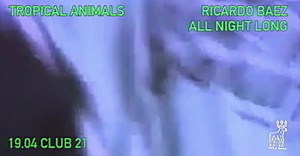 1.4K views | Tropical Animals on Reels | Facebook