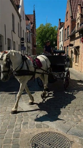Bruges, Beautiful Belgium #travel #explore #belgium #bruges