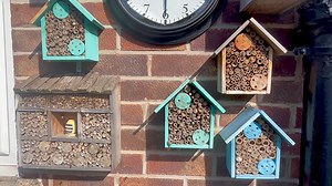 10K views · 744 reactions | Tadpoles and Bees on this beautiful Sunday. The tadpoles are thriving and lots more masonry bees are hatching from our bee hotels | The Mouse family that live by the brambles | Facebook
