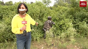 In view of emerging new threats and changing security scenarios in the Jammu region, 13 units of CRPF's Counter-Terrorism Tactical team have been deployed in the region and placed with SOG of J&K Police for Counter Insurgency operations. #ReporterDiary (Kamaljit Sandhu) | India Today