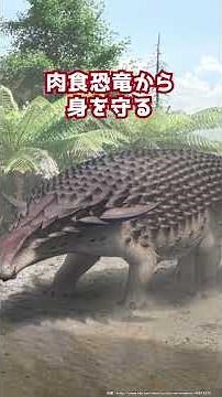 The world's best-preserved dinosaur, "Borealopelta."