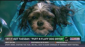 Try It Out Tuesday: Puff-N-Fluff dog dryer