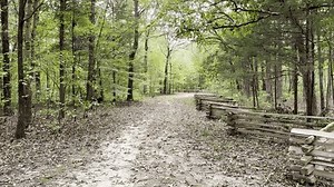 Hiking Trail Along Natchez Trace Parkway Stock Footage Video (100% Royalty-free) 3529855289 | Shutterstock