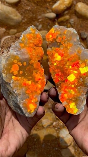 Big fire opal finding, that is beautiful #nature #agate #crystals #gemstones #naturalamethyst #opal