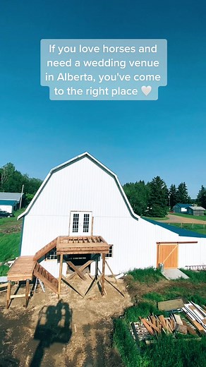 #yeg #yyc #yegwedding #yycweddings #albertawedding #albertaweddingphotographer #calgarywedding #edmontonwedding #edmontonalberta #FalkenbergStables