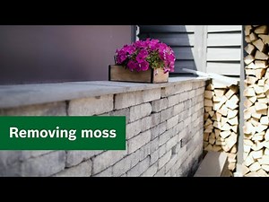 Garden knowledge: Removing moss effectively