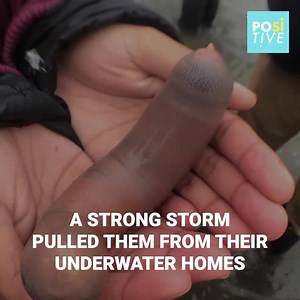 914K views · 1.3K reactions | A beach in California was washed up by...