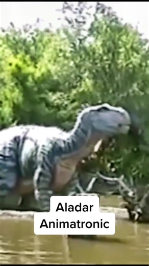 Exploring Submechanophobia in Disney Parks