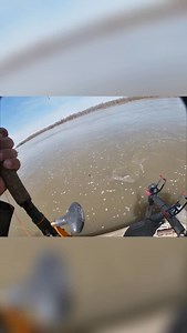 46 reactions · 6 comments | 73.75lb catfish!! Affiliate Catfish Commando David caught a GIANT! | 4REEL Fishing | Facebook