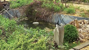 Summary of the Lab Manual: Ecology, Development, & Sustainability