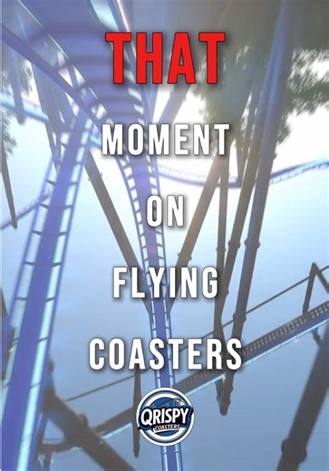 Experience the Thrill of the Borealis Flying Coaster