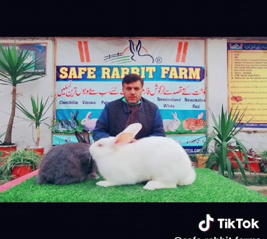 SAFE Rabbit Farms Pvt Ltd on TikTok