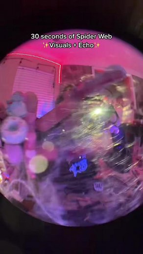 Exploring Spider Webs with Echo for ASMR Relaxation