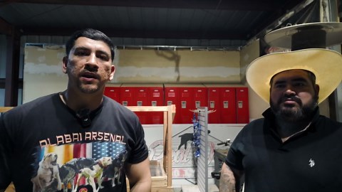 Guardians of the steppe: The Alabai kings