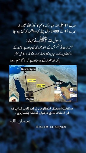 Beautiful Words #islamic #miracle #islamicvideo #hadeesinurdu #hadees #islamicshorts #urdushorts