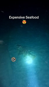 Ang daming LOBSTER sa Palawan #fishing #spearfishing | One Fish Adventure