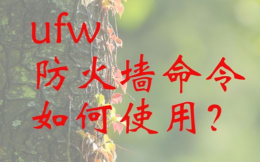 ubuntu防火墙命令ufw如何使用？ 详细的使用教学在此
