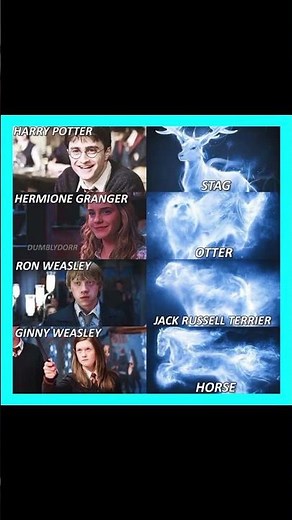 Harry Potter Patronus Reveals 🔮 | Harry, Hermione, Ron & Ginny Patronus Animals Explained | #harry