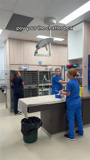 Hilarious Moments at the Vet Clinic
