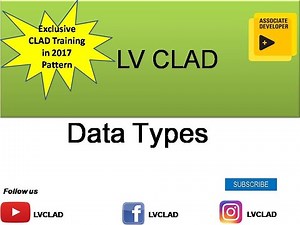 LabVIEW CLAD-Data type and Data Coercion