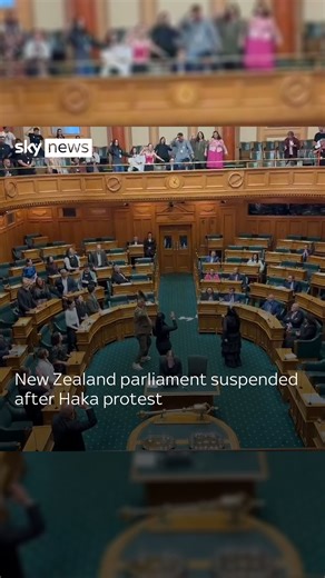 120K views · 1K reactions | New Zealand parliament suspended after Haka protest.The bill proposes to alter the way the country’s treaty between the indigenous Maori and the British Crown is interpreted. #skynews #NewZealand #Maori | Sky News | Facebook