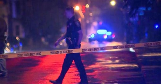 Dog attacks Mass. couple before being shot, killed by police