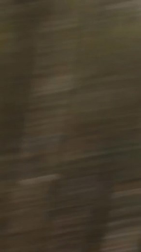 13K views · 104 reactions | Back in 2003, Shane Ohly and John Arran...