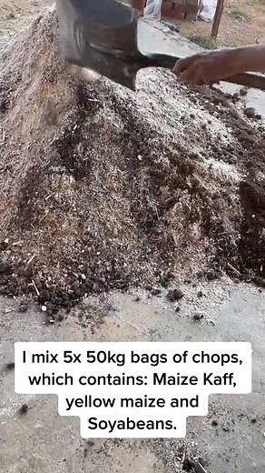 Making Cattle Feed Mix: Ingredients & Process