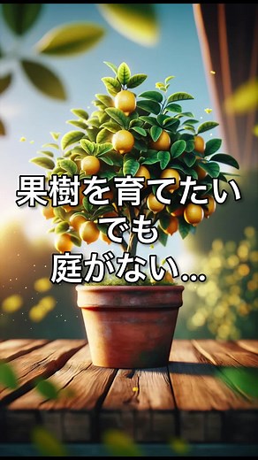 鉢でも育てる！家庭菜園でレモン栽培のコツ